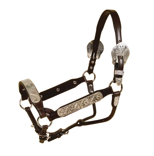 Tory Leather Rochester Congress Show Halter And Lead 3 Tory Leather Rochester Congress Show Halter And Lead