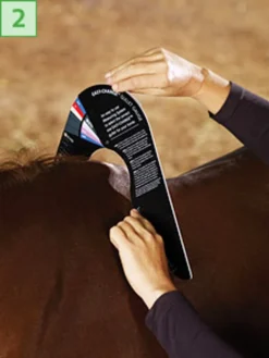 Bates/Wintec Easy Change Gullet Gauge -Royal Horse Outfitters 2 gauge point 97724.1546903553