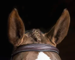 Pessoa PRO Fancy Stitched Tapered Bridle 13 Pessoa PRO Fancy Stitched Tapered Bridle -Royal Horse Outfitters 470462 pessoa pro fs taper bridl dk brn brow 75194.1669487591