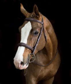 Pessoa PRO Fancy Stitched Tapered Bridle 11 Pessoa PRO Fancy Stitched Tapered Bridle -Royal Horse Outfitters 470462 pessoa pro fs taper bridl dk brn horse 81669.1669487583