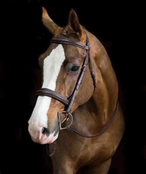 Pessoa PRO Fancy Stitched Tapered Bridle 6 Pessoa PRO Fancy Stitched Tapered Bridle - Image 4