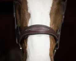 Pessoa PRO Fancy Stitched Tapered Bridle 12 Pessoa PRO Fancy Stitched Tapered Bridle -Royal Horse Outfitters 470462 pessoa pro fs taper bridl dk brn nose 53987.1669487588