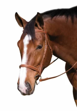 Henri De Rivel Pro Fancy Padded Bridle