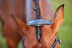 Collegiate ComfiTec Training Bridle -Royal Horse Outfitters 811145 ComfiTec Training Crown Detail 53744.1588094691