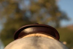 High Horse Daisetta Cordura Trail Saddle By Circle Y 26 High Horse Daisetta Cordura Trail Saddle By Circle Y -Royal Horse Outfitters Daisetta Cantle Rear 57003.1600204651