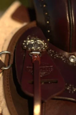 High Horse Daisetta Cordura Trail Saddle By Circle Y 36 High Horse Daisetta Cordura Trail Saddle By Circle Y -Royal Horse Outfitters Daisetta Concho 80022.1600204641