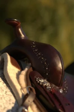 High Horse Daisetta Cordura Trail Saddle By Circle Y 23 High Horse Daisetta Cordura Trail Saddle By Circle Y -Royal Horse Outfitters Daisetta Pommel 14377.1600204630