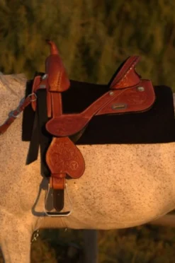 Circle Y Fischer Daisy Treeless Barrel Saddle