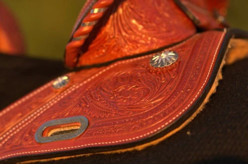 Circle Y Fischer Daisy Treeless Barrel Saddle 6 Circle Y Fischer Daisy Treeless Barrel Saddle - Image 4