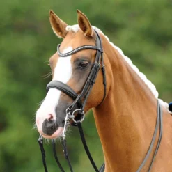 PASSIERBLU Dream Double Bridle -Royal Horse Outfitters PASSIERBLU Dream Double Bridle lifestyle 01457.1686415272
