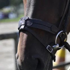 In Horse We Trust Soft T Contact Noseband W/ Flash 8 In Horse We Trust Soft T Contact Noseband W/ Flash -Royal Horse Outfitters Soft T Contact 2 08049.1658868277