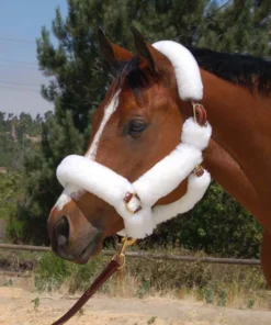 Mary's Walsh Shipping Halter With Solid Brass Hardware