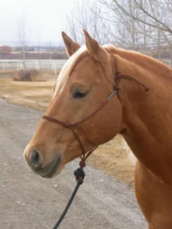Double Diamond Buck Brannaman 124 Rope Halter