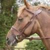 Dy'on Difference Flash Bridle 2 Dy'on Difference Flash Bridle -Royal Horse Outfitters aaaaaaayvs 51442 49586.1527301899