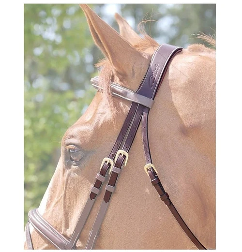 Dy'on Anatomic Crownpiece 3 Dy'on Anatomic Crownpiece