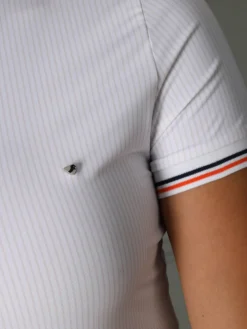 Aubrion Arcaster SS Show Shirt -Royal Horse Outfitters aracaster show ss pinstripe front detail lifestyle 10200 aubrion 48447.1716656749