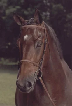 Arc De Triomphe Imperial Snaffle Bridle