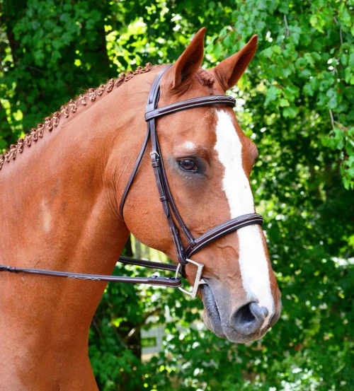 Black Oak Aster Snaffle Bridle 3 Black Oak Aster Snaffle Bridle