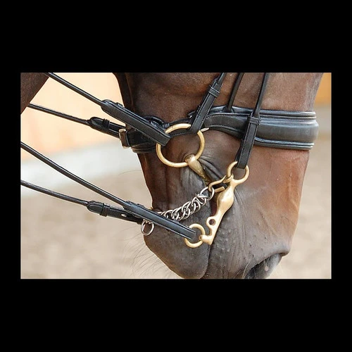 Dy'on Large Crank Double Bridle 3 Dy'on Large Crank Double Bridle