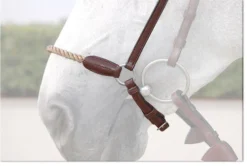Dy'on Drop Rope Crank Noseband