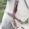 Dy'on Thin Rope Gag Cheek Pieces -Royal Horse Outfitters b916 73815 72017.1527305601