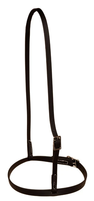 Berlin Beta Biothane Flat Cavesson 3 Berlin Beta Biothane Flat Cavesson