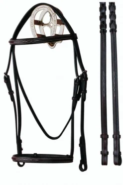Bobby's English Tack Square Raised Fancy Stitch Bridle