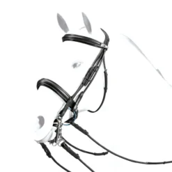 Equipe Roll Double Bridle