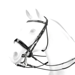 Equipe Charlotte Dujardin Patent Double Bridle