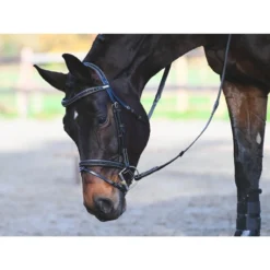 Jump'In Carat Bridle 15 Jump'In Carat Bridle -Royal Horse Outfitters carat bridle black horse resting jump in 03006.1734633033