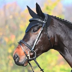 Jump'In Carat Bridle 21 Jump'In Carat Bridle -Royal Horse Outfitters carat bridle one collection black 43567.1734633032