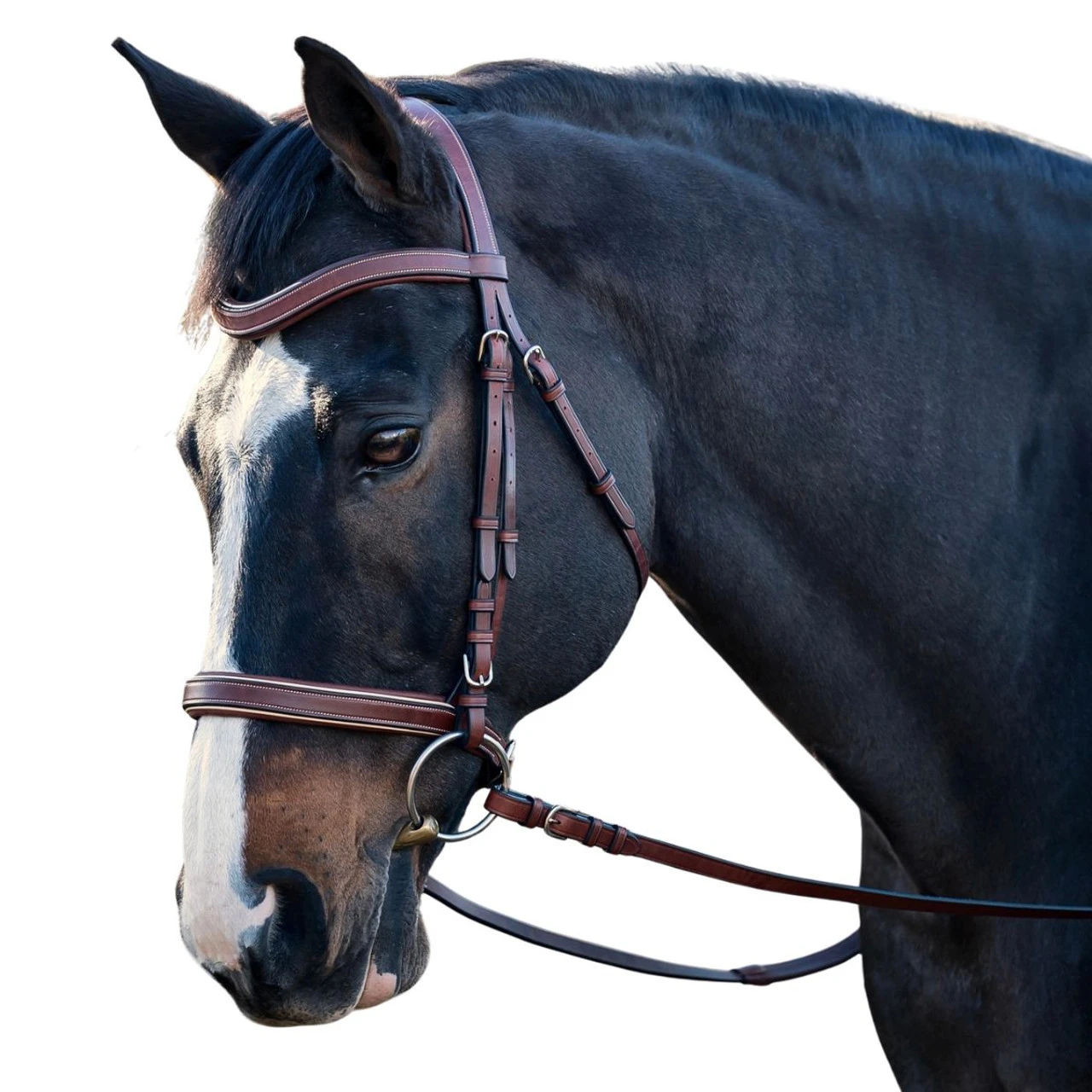 ADT Classique Anatomic Bridle | Brown 3 ADT Classique Anatomic Bridle | Brown