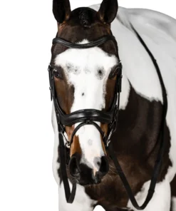 Lara Tweedie Connection Snaffle Bridle -Royal Horse Outfitters connection snaffle black front CONNECTION lara tweedie 69184.1713903521