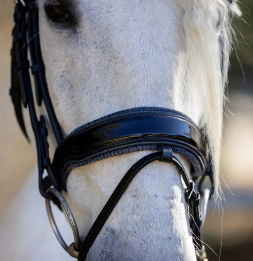 Halter Ego Copenhagen Navy Patent Snaffle Bridle 3 Halter Ego Copenhagen Navy Patent Snaffle Bridle