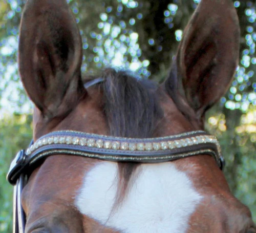 Halter Ego Crystal Jumper Bridle 3 Halter Ego Crystal Jumper Bridle