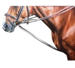 Dy'on Rubber Lined Hunter Draw Reins -Royal Horse Outfitters draw reins hunter grip brown horseW W008C dyon 35929.1626810108