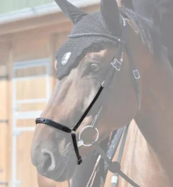 In Horse We Trust Drop Noseband