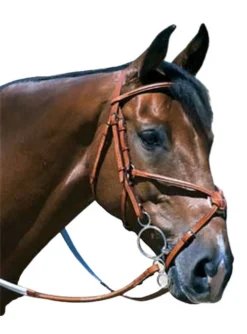 Edgewood Raised Fancy Stitch Padded Figure 8 Bridle