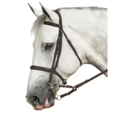 Ovation Euro Pelham Bit Converter -Royal Horse Outfitters euro bit converters horse 468226 ovation 67201.1641422991