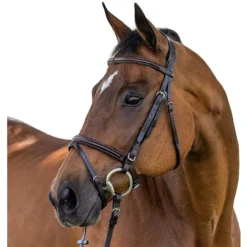 Vespucci New Fancy Raised Jump Bridle
