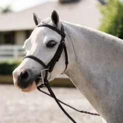 Belle & Bow Pony Farnley Bridle