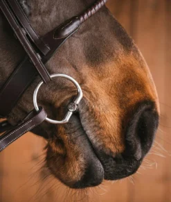 Fager Julia Sweet Iron Fixed Ring 9 Fager Julia Sweet Iron Fixed Ring -Royal Horse Outfitters fixed ring cheeks in use fager 16599.1721426239