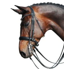 Passier Fortuna Double Bridle -Royal Horse Outfitters fortuna double bridle grey brow horse2 860 passier 45890.1690319789