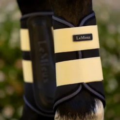 LeMieux Brushing Boots SS25 -Royal Horse Outfitters grafter boots mimosa detail IT06189003 lemieux 15693.1741029583