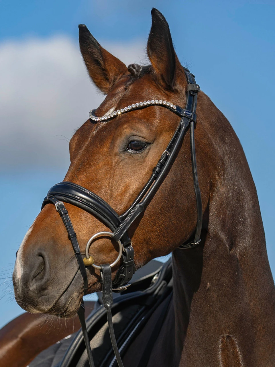 Passier Harmony Snaffle Bridle 4 Passier Harmony Snaffle Bridle - Image 2
