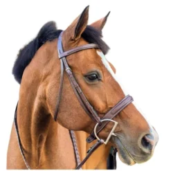 Beval Heritage Wide Fancy Stitch Bridle -Royal Horse Outfitters heritage wide cavesson bridle right w beval 11569.1675120718