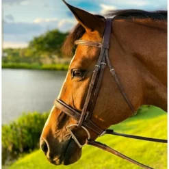 Beval Heritage Wide Fancy Stitch Bridle -Royal Horse Outfitters heritage wide fancy laced anut side 1066100 beval saddlery 95595.1675118359
