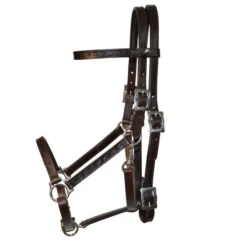 Tucker Horizon Series Halter Bridle