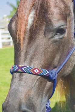 Professional's Choice Beaded Rope Halter & 10 Ft Lead