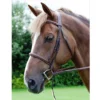 Dy'on Raised Fancy Stitch Hunter Bridle -Royal Horse Outfitters hunter bridle dyon 50775.1567117481